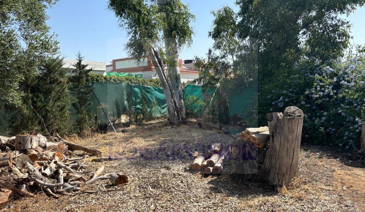 WhatsApp Image 2024-05-30 at 12.07.46 (10)