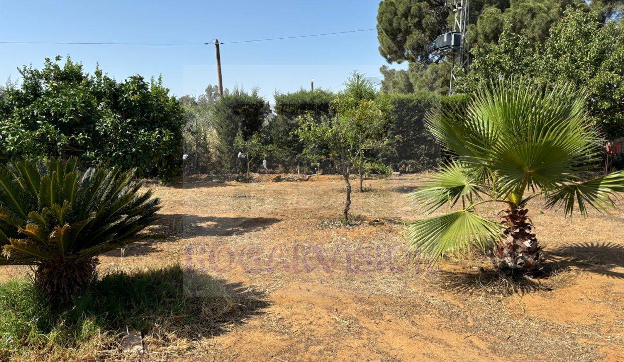 Se vende parcela en Marchena