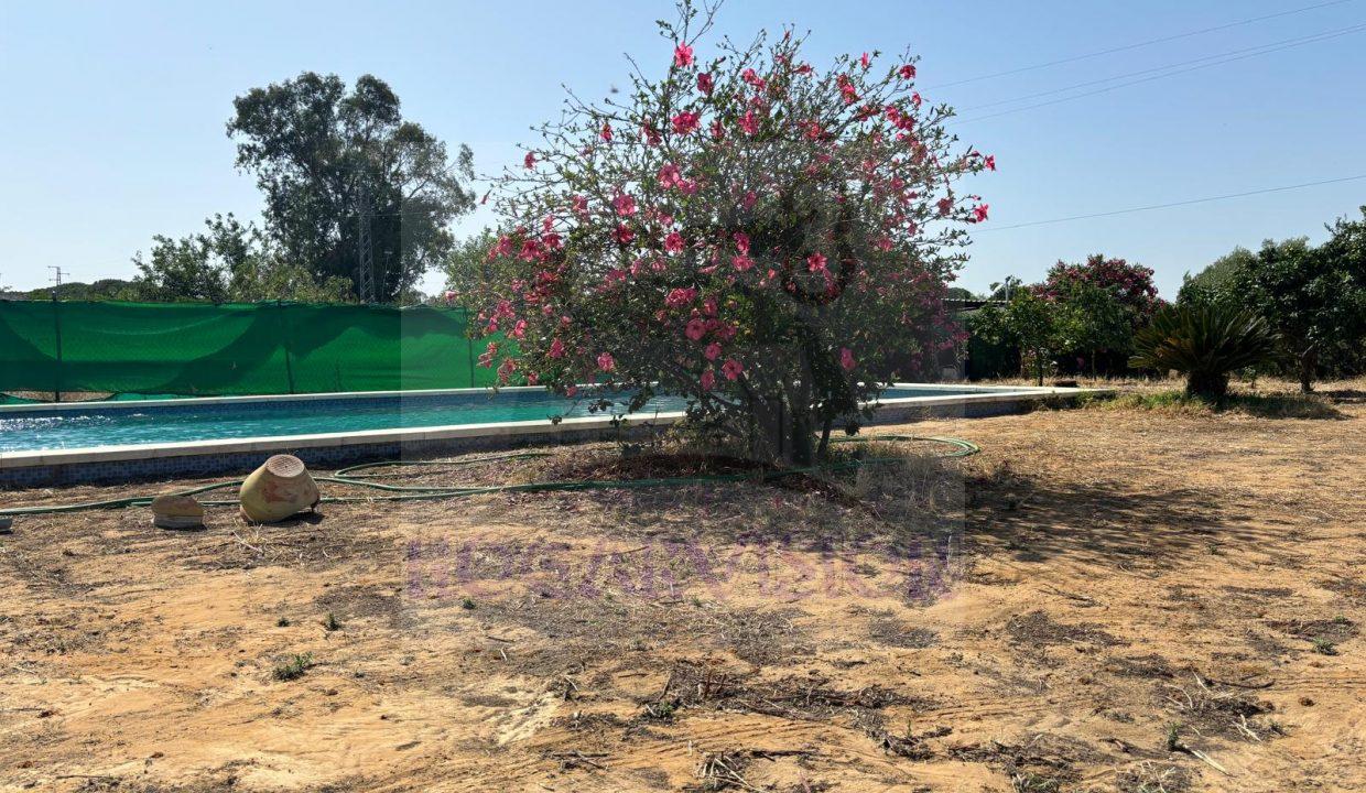 En venta parcela barata en Marchena