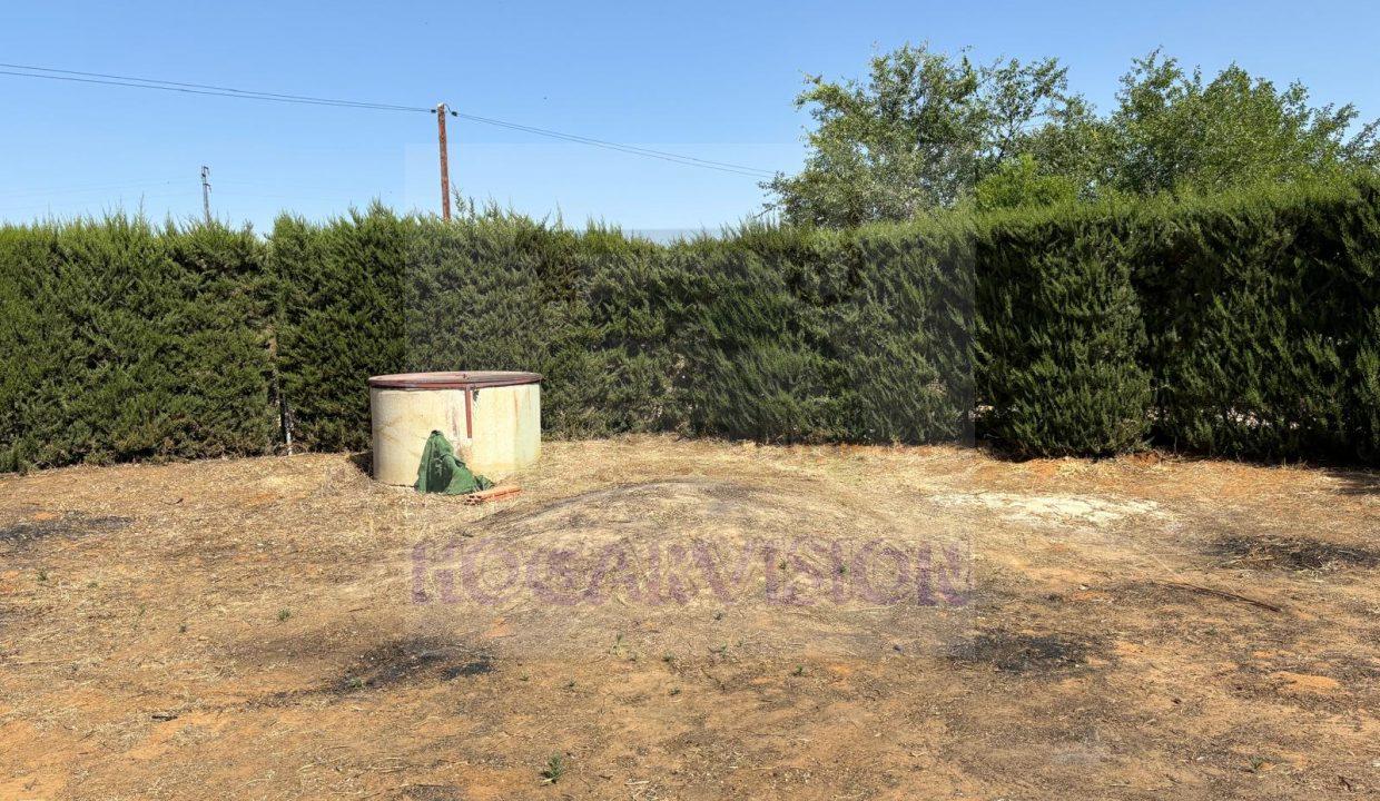 WhatsApp Image 2024-05-30 at 12.07.46 (7)