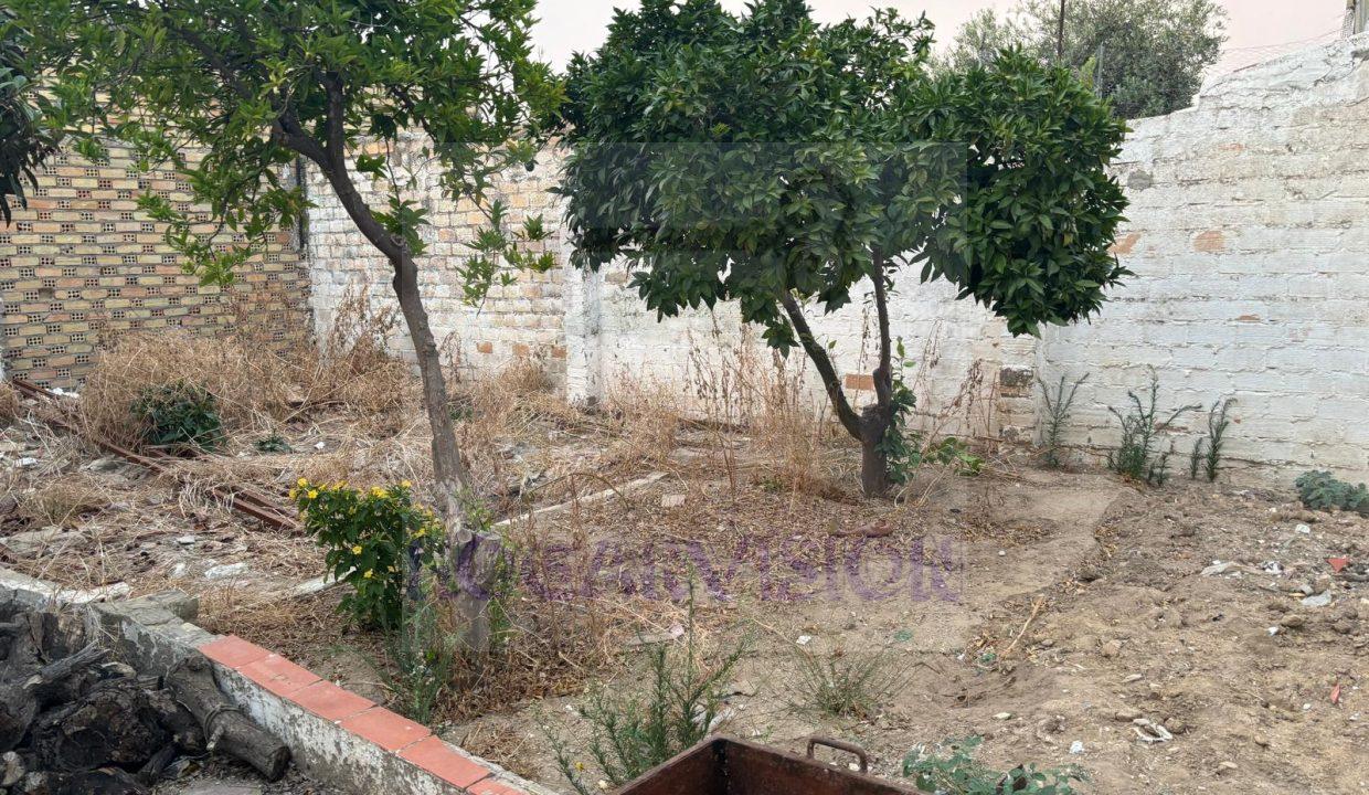 WhatsApp Image 2024-06-27 at 08.46.59 (8)