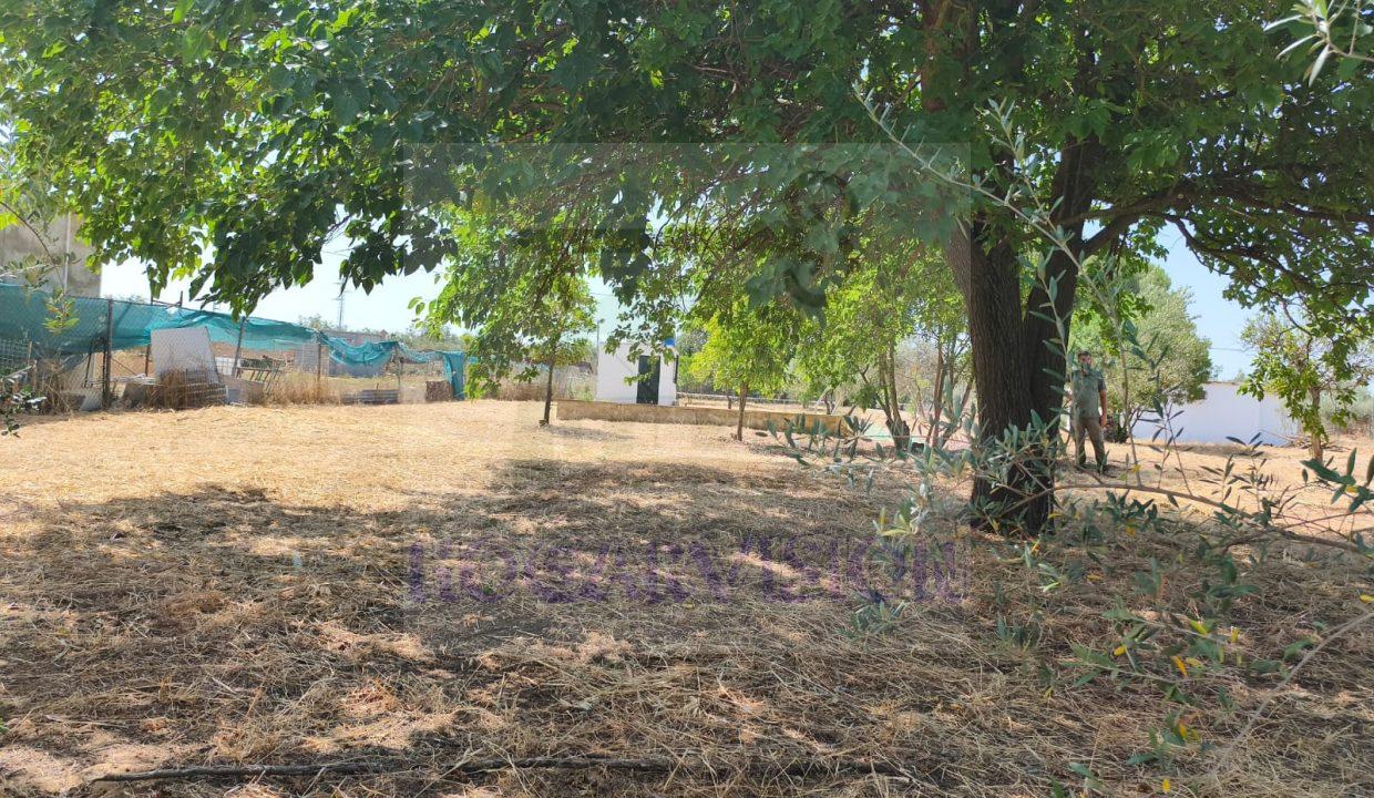 Se vende parcela en Morón de la Frontera