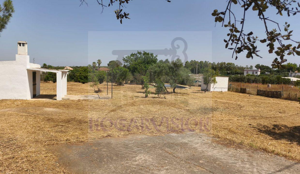 Se vende parcela con piscina en Morón de la Frontera